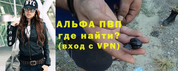 PSILOCYBIN Беслан