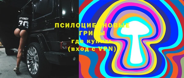тгк Алексин