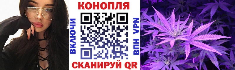 где купить наркотик  Крымск  Бошки Шишки SATIVA & INDICA 